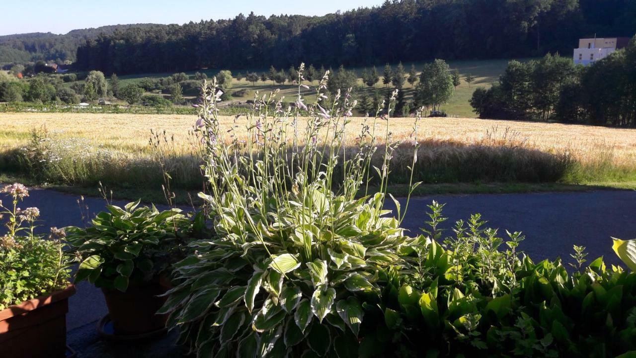 Ferienhaus Planetz Kaindorf  Exterior foto